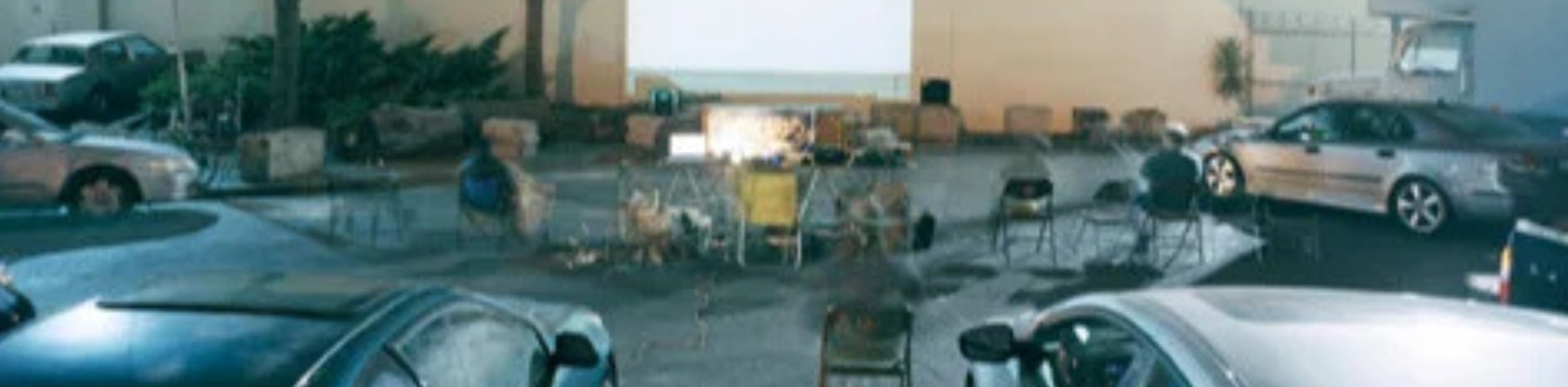 Brainwash Drive-In/Bike-In/Walk-In Movie Festival banner